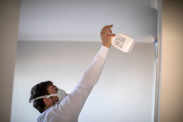 Attic Mold Removal in Fairview Ferndale, PA
